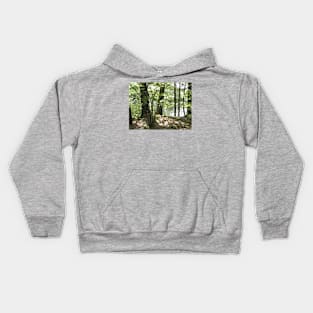 Lake Through the Woods Kids Hoodie